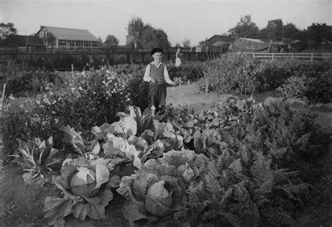 #vintage children – @vintage-sweden on Tumblr