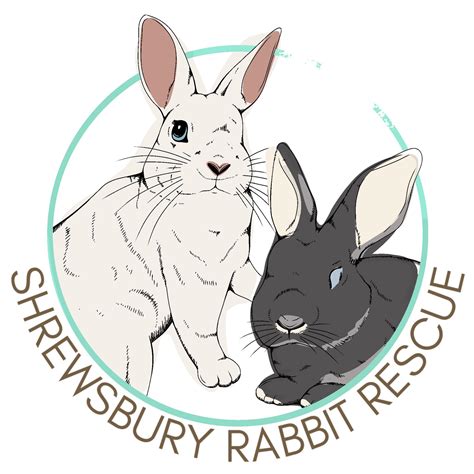 Honey is one of the most... - Shrewsbury Rabbit Rescue | Facebook