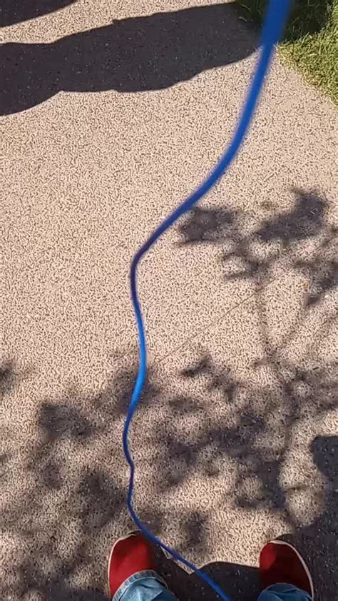 sorry for the lag but I'M AT ANNE OF GREEN GABLES!!@🦤 LOOKIE :DDD | TikTok