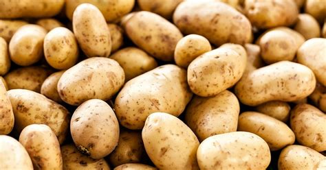 cook  potato quiz  macew