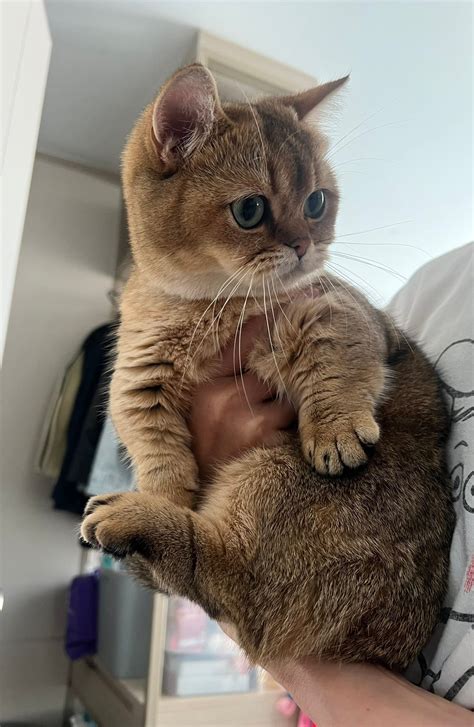 Duen Sakowduen - จงถนอมครอบครัวด้วยคำพูดที่ดี... | Facebook