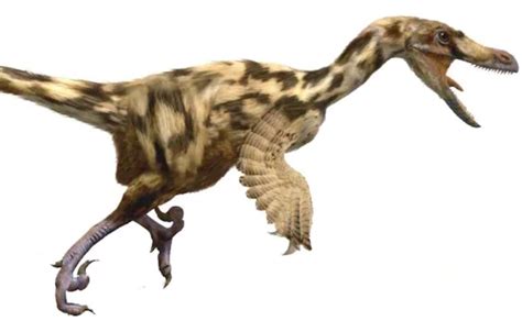 Erome djanaimichele after 7 minutes she then introduced me