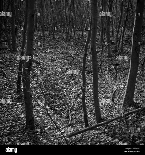 Digital dark Black and White Stock Photos & Images - Alamy