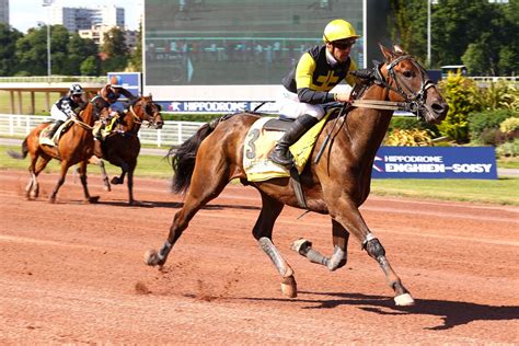 Erome forestfaye then on the flip you get to see all of