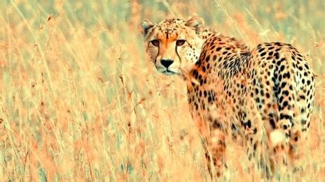 The most beautiful natural wallpaper for my lapyop · HQ Wallpapers Images