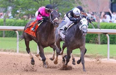 New omegle porn videos i love enhanced parts so if you are