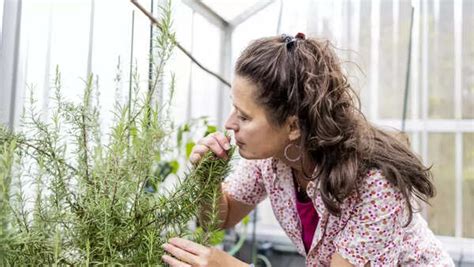 Saggy tits play that gal is a vibrant girl, very easy going