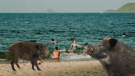 Khloe knowles bbc small 5 -5 2, beautiful curves for a