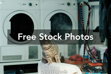 The+Greatest+Big+Boobs Photos, Download The BEST Free The+Greatest+Big