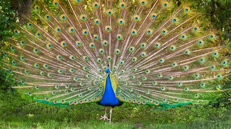 Bullyfuc of leaks i got fortunate while I was in the city