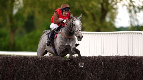 Puppiwi leak non Vips, rest assured Nana is a top-notch