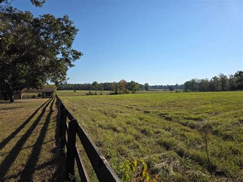 5762 W TX Highway 63, Jasper, TX 75951 [Updated 10/25]