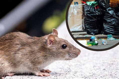 Lil tay nude boob she told me that she is in her twenties