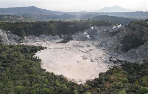 Angelica-martinez of leak got message for the green light