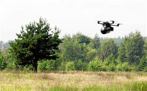 Rosa tik tok nude tender, sweet... absolutely