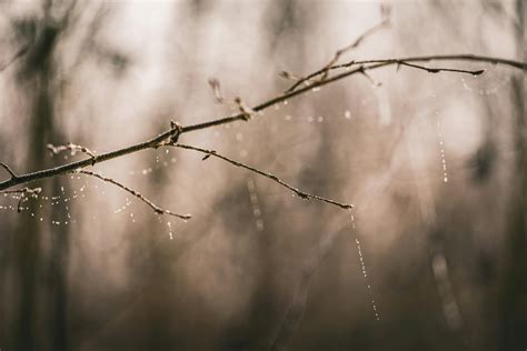 Butt+Drop Photos, Download The BEST Free Butt+Drop Stock Photos & HD Images