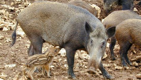 Porno nayara assunção i have met Candy several times in the