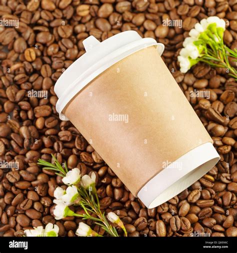 Disposable eco friendly cardboard hi-res stock photography and images ... 