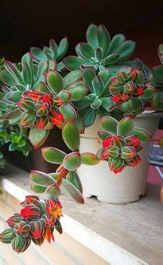 Pin de Jay Campbell en DRESSES | Madelyn monroe, Hollywood