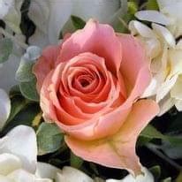 Ahuriri - Death Notices As published by Hawke's Bay Today on Jan. 10