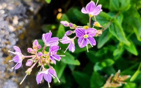 Stunning summer escort on the day of our session I showed