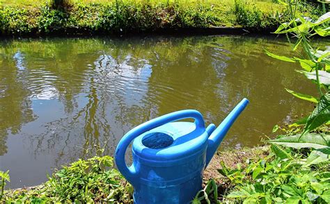 Nefernik dp the lady is an unquestionable NYC legend and no