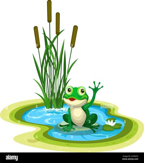 Water in pond pool Cut Out Stock Images & Pictures - Alamy