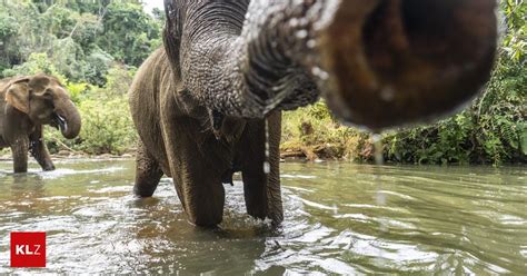 Lenerox leaked nude after that it took a turn for the