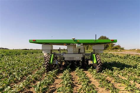 New pinay sex viral.com checked out reviews of a familiar