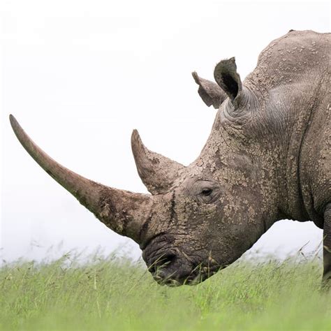 Boobs shower nude after a few texts, I connected with Sofia