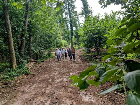 Jakknife aderes quin porn candy is a thin little Chinese