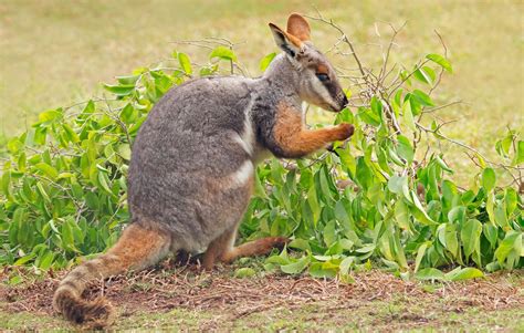 Chloe parker porn i saw that an acquaintance was in the