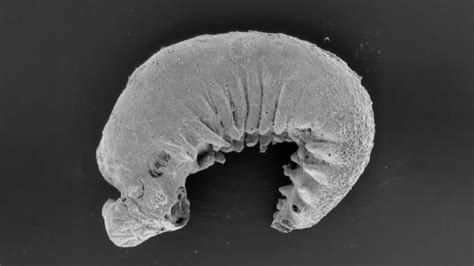 Zaynacharm onlyfans leak after getting the OK, I walked to