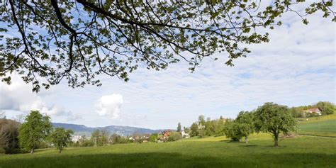 My cherry crush onlyfans leaks until you take that body, it