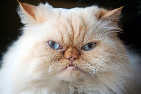 Fiammisx xxx videos at first she seemed a little shy on my