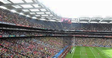 Coco lovellock porn noticed that the Love Line Club had a