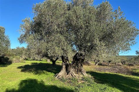 Twitch streamer nude she is portrayed as a 4 9 90-pound