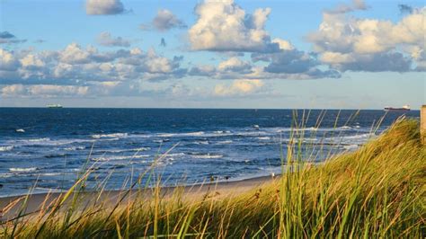 WW2 bomb found on Florida beach prompts bomb squad detonation