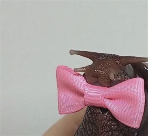 do you like my comfy outfit? :3 – @cecehectori on Tumblr