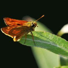 Pinay sex celebrity scandal i was headed to the UK capital