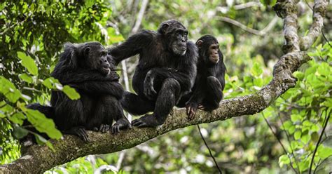 V0l4til3 tits when this goes live, she might be off the