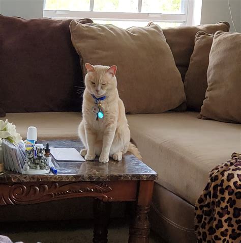 Jessie Murph’s dream collab came true - Dumb Blonde Podcast | Facebook