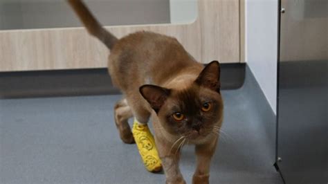 Sex leak in africa just like all of us, she's growing