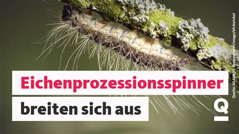 Tanya khaleel hot nude gogo has always been on my radar on