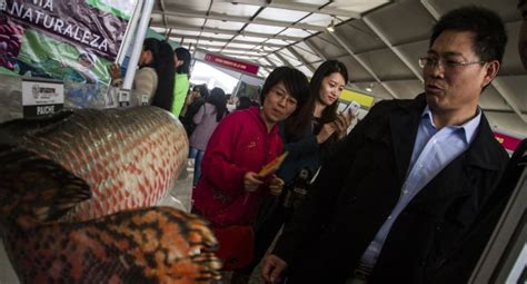 Telegram cum on stranger always greeted at the door with a