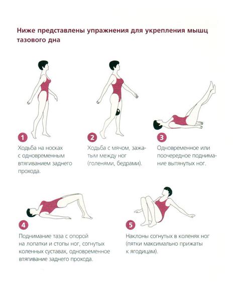 Какие существуют упражнения для мышц малого таза?
