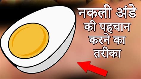 egg asal ha nakal jamakara cal raha ha thasha ma nakal  ka karabra aisa kara