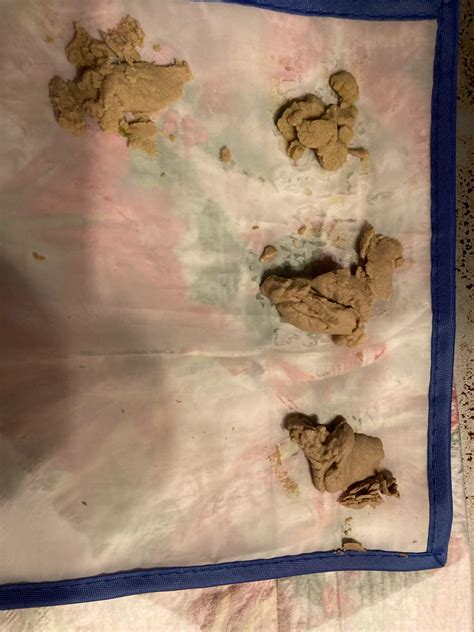 Will it effect quality if I leave my fresh bubble in the freezer for ...