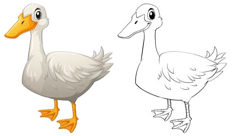 Duck Outline Vector Art, Icons, and Graphics for Free Download