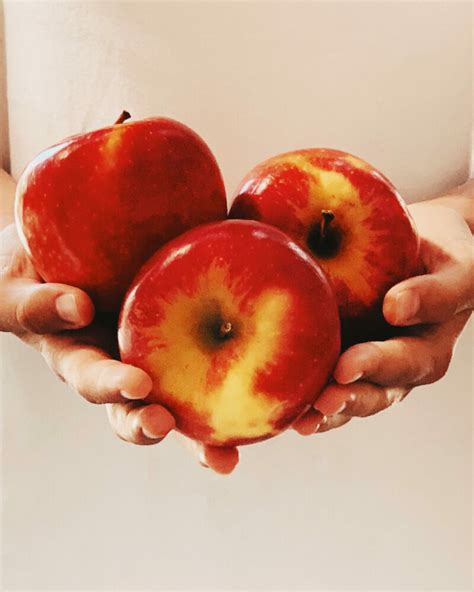 Carbs in Apples (Net vs Total)